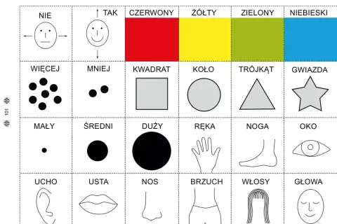 Karty pracy dla 6-latków: kolory, kształty, liczby, części ciała. Pomoc dydaktyczna.