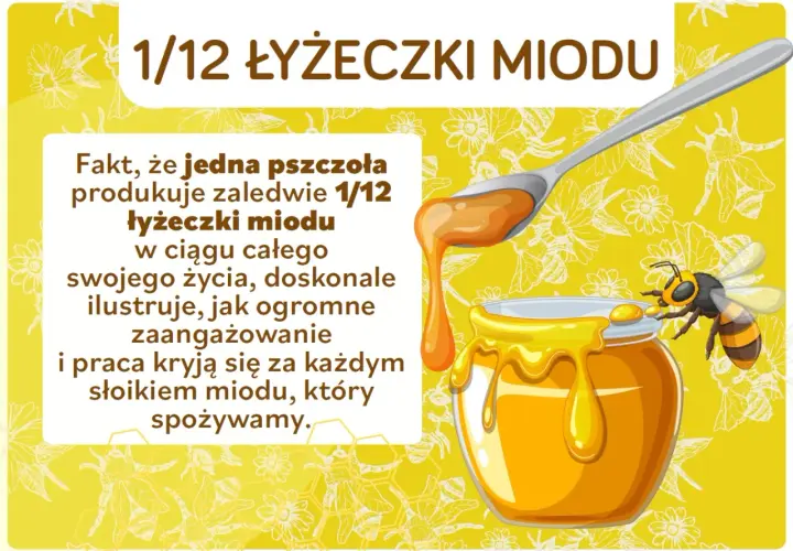 Ciekawostki o pszczołach dla dzieci: jedna pszczoła produkuje tylko 1/12 łyżeczki miodu przez całe życie! To pokazuje, jak ciężko pracują.